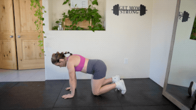 bird dog exercise