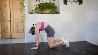 cat cow exercise